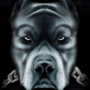 Meet your Posher, Clinton